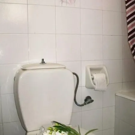 Apartment شقة *